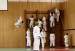 2012-01-29_judoIMG_0468